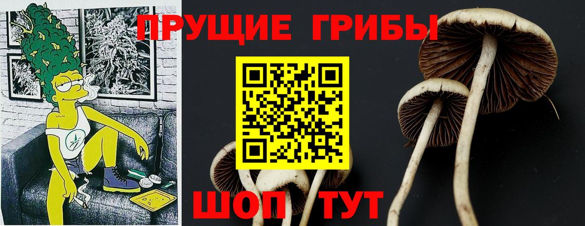 Новокуйбышевск  Галлюциногенные грибы Magic Shrooms  Вход с VPN  Псилоцибиновые грибы MAGIC MUSHROOMS 