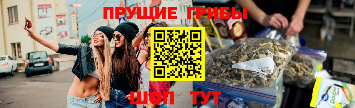 Псилоцибиновые грибы MAGIC MUSHROOMS Новокуйбышевск